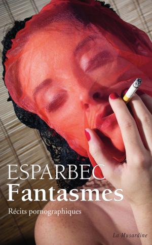 Cover of the book Fantasmes by Pierre Des esseintes