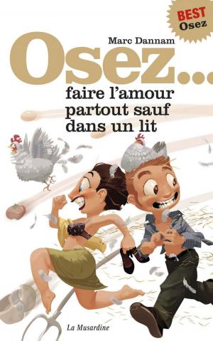 Book cover of Osez faire l'amour partout sauf dans un lit