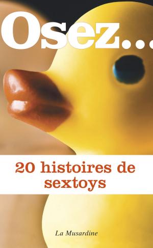 Cover of the book Osez 20 histoires de sextoys by Zoe Miller