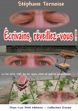 Cover of the book Écrivains, réveillez-vous ! by Stéphane Ternoise
