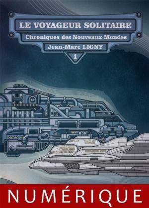 Cover of the book Le Voyageur solitaire by François Darnaudet
