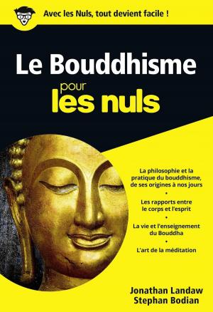 Cover of the book Le Bouddhisme Pour les Nuls by Jean-Charles SOMMERARD