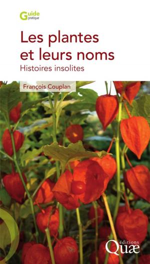 Cover of the book Les plantes et leurs noms by Bernard Faye