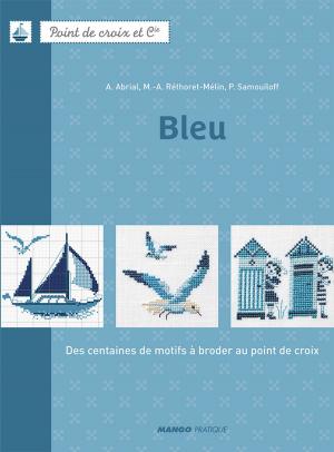 Cover of the book Bleu by D'Après Roba, Sylvie Allouche