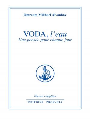 Cover of the book Voda, l'eau by Logan J. Davisson