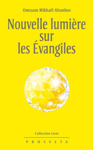 Cover of Nouvelle lumière sur les Évangiles