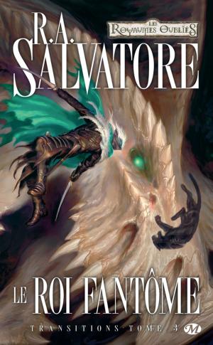 Cover of the book Le Roi fantôme by R.A. Salvatore