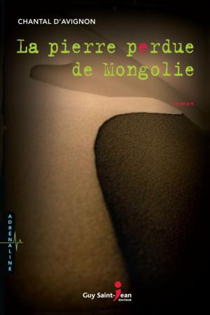 Cover of the book La pierre perdue de Mongolie by Danielle Goyette