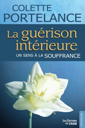 Cover of the book La guérison intérieure, un sens à la souffrance by Chantale Proulx