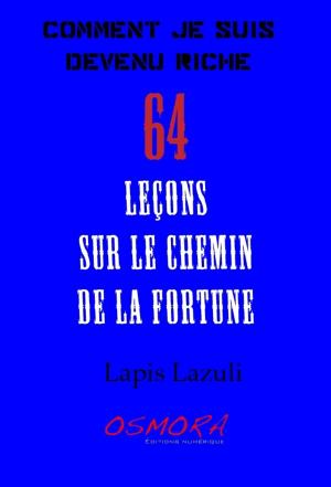 Cover of the book Comment je suis devenu riche by Donna Nieri