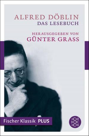 Cover of the book Das Lesebuch by Hans Keilson
