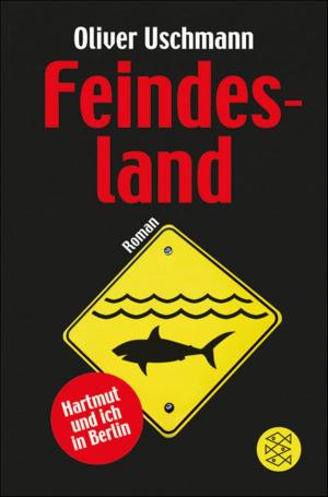 Cover of the book Feindesland by Günter de Bruyn