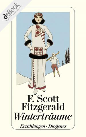Cover of the book Winterträume by Friedrich Dönhoff