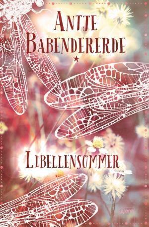 Book cover of Libellensommer