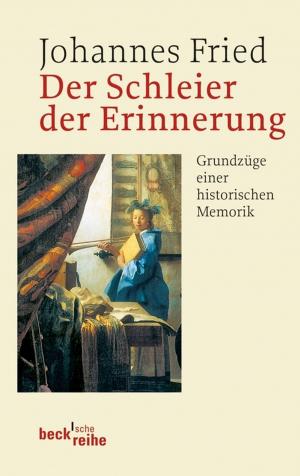 Cover of the book Der Schleier der Erinnerung by Sabine Henze-Döhring