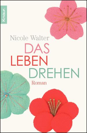 Cover of the book Das Leben drehen by Marita Spang