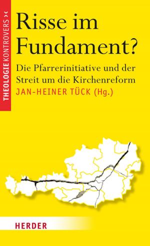 Book cover of Risse im Fundament