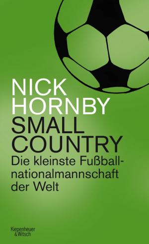 bigCover of the book Small Country by 