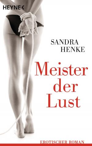 Cover of the book MeIster der Lust by Brandon Sanderson