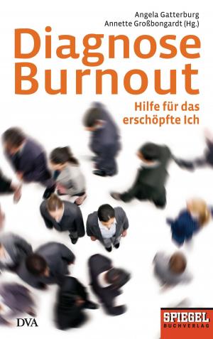 Cover of the book Diagnose Burnout by Heidi Howcroft