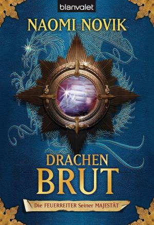 Cover of the book Die Feuerreiter Seiner Majestät 01 by Beth Kery