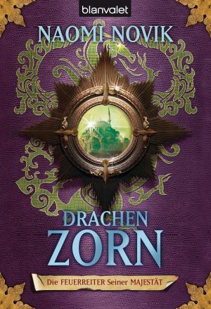 Book cover of Die Feuerreiter Seiner Majestät 03
