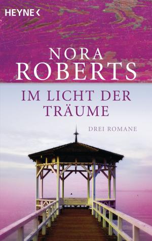 Cover of the book Im Licht der Träume by Jonathan Maberry