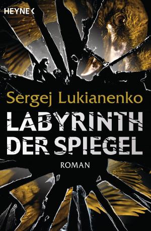 Book cover of Labyrinth der Spiegel