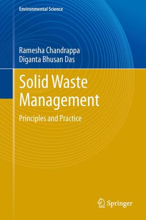 Cover of the book Solid Waste Management by Grigory L. Litvinov, Paola Loreti, Guy Barles, Hitoshi Ishii, Nicoletta Tchou, Yves Achdou