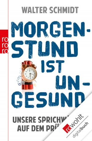 Cover of the book Morgenstund ist ungesund by Hans-Dieter Kempf
