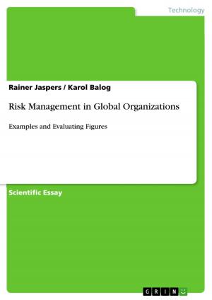Cover of the book Risk Management in Global Organizations by Regina Bianchi