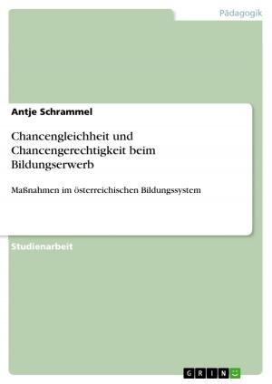 Cover of the book Chancengleichheit und Chancengerechtigkeit beim Bildungserwerb by Ann-Katrin Kutzner