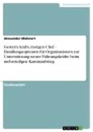 Cover of the book Gestern Azubi, morgen Chef - Handlungsoptionen für Organisationen zur Unterstützung neuer Führungskräfte beim mehrstufigen Kaminaufstieg by Franziska Wilhelm