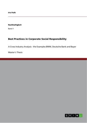 Cover of the book Best Practices in Corporate Social Responsibility by Julia Steblau