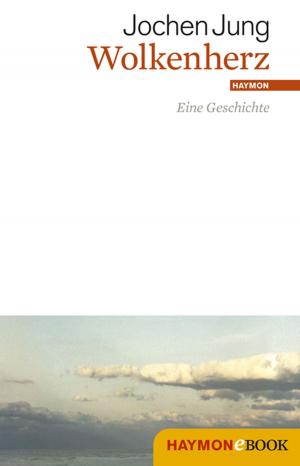 Cover of the book Wolkenherz by Michael Forcher