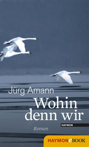 Cover of the book Wohin denn wir by Jürg Amann