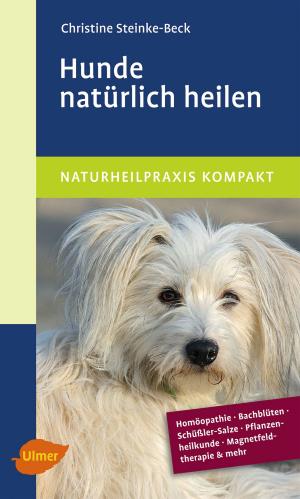 Cover of the book Hunde natürlich heilen by Viviane Theby