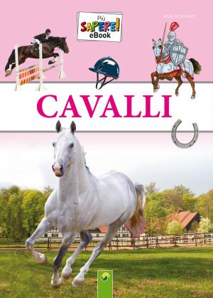 Cover of the book Cavalli by Petra Kulbatzki