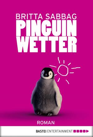 Cover of the book Pinguinwetter by Katrin Kastell