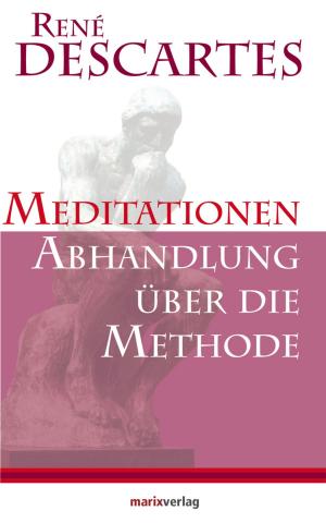 Cover of the book Meditationen / Abhandlung über die Methode by Johann Wolfgang  von Goethe