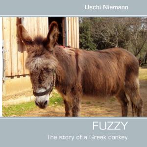 Cover of the book Fuzzy by Romy Fischer