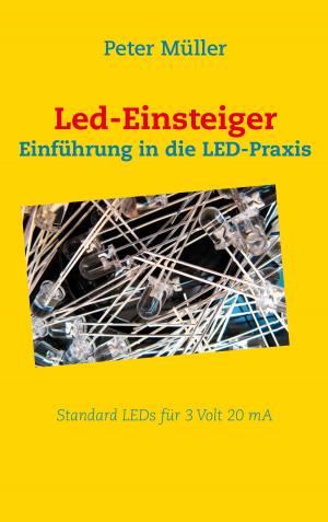 Cover of the book Led-Einsteiger by Bernd Schubert