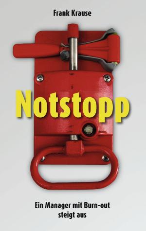 Cover of the book Notstopp by Geert Franzenburg