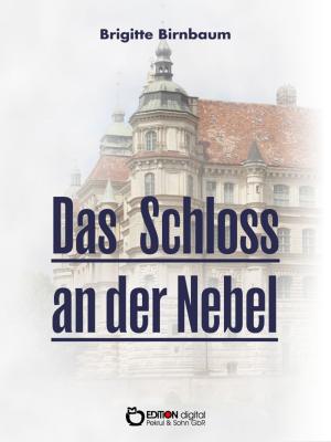Cover of the book Das Schloss an der Nebel by Helga Schubert