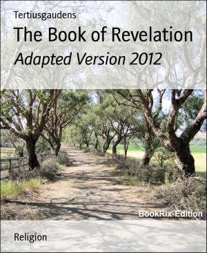 Cover of the book The Book of Revelation by Alison Holmes
