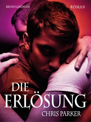 Book cover of Die Erlösung