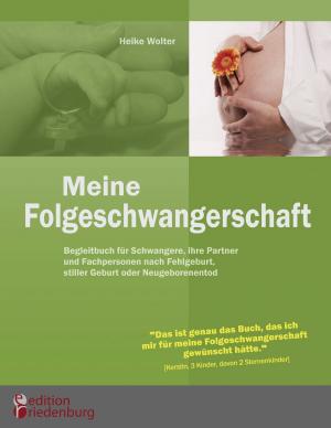 Book cover of Meine Folgeschwangerschaft - Begleitbuch für Schwangere, ihre Partner und Fachpersonen nach Fehlgeburt, stiller Geburt oder Neugeborenentod
