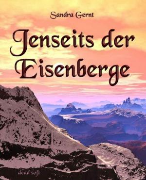 Cover of the book Jenseits der Eisenberge by Sandra Busch