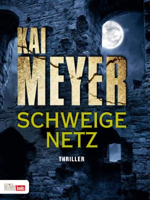 Cover of the book Schweigenetz by Rebecca Gable