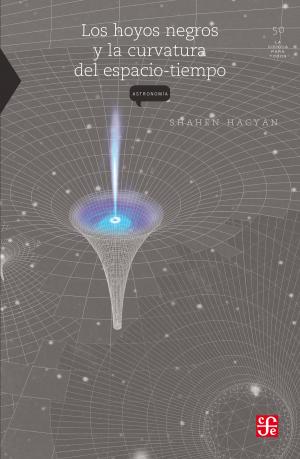 Cover of the book Los hoyos negros y la curvatura del espacio tiempo by David A. Brading